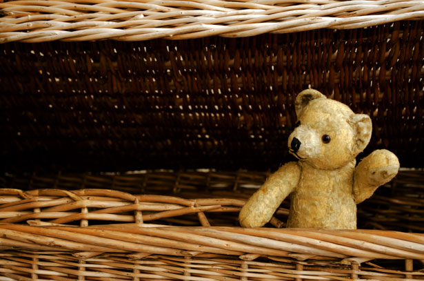A teddy bear in a box