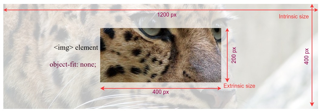 An image demonstrating extrinsic and intrinsic image sizes; the center 400 by 200 section of a much larger 1200 by 400 image is visible in the 400 by 200 view box that is the size of the element displaying the image.